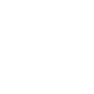Image module