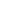 Image module